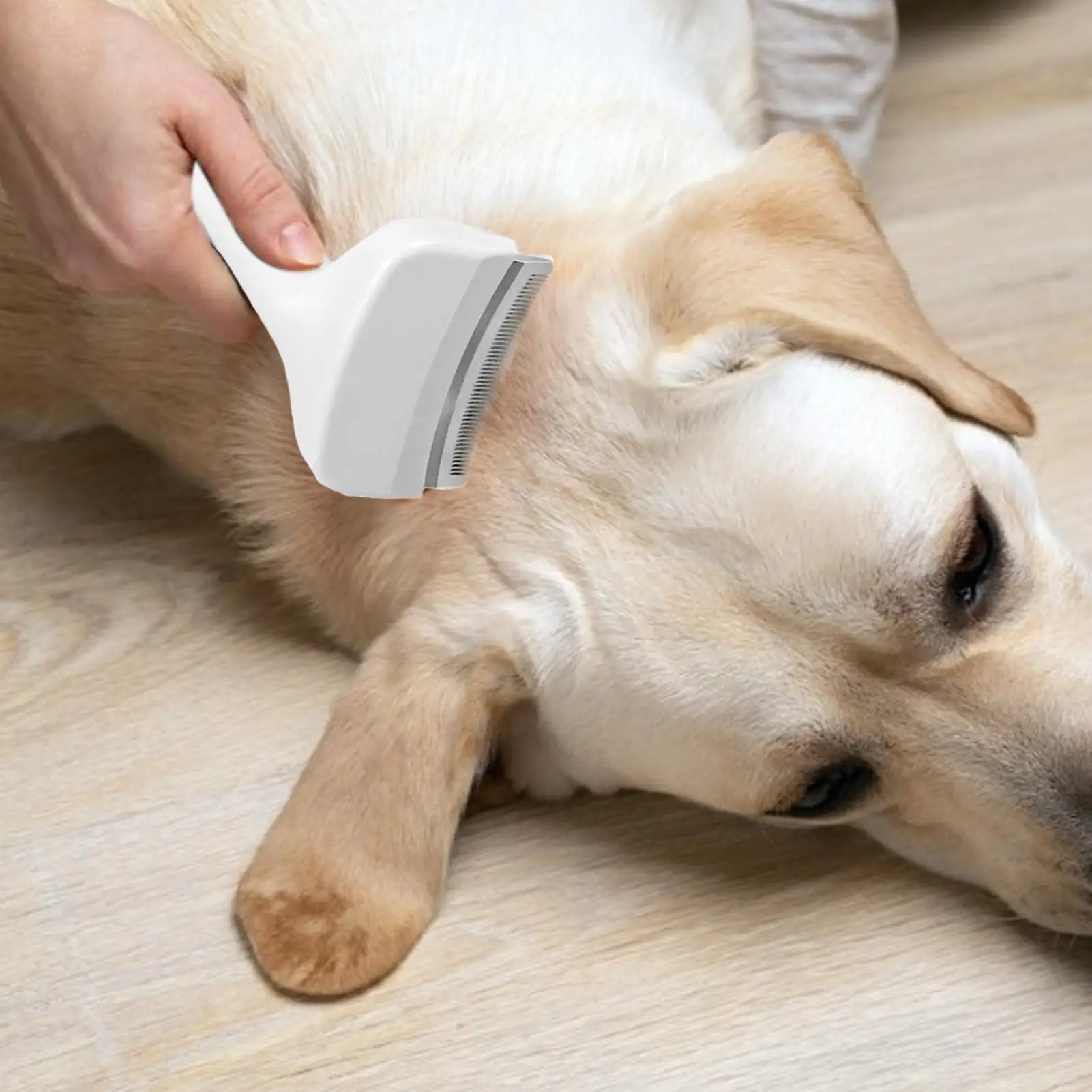 Szczotka typu slicker do sierś – Undercoat Rake Dematting Tool Dog Shedding recenzja i cena