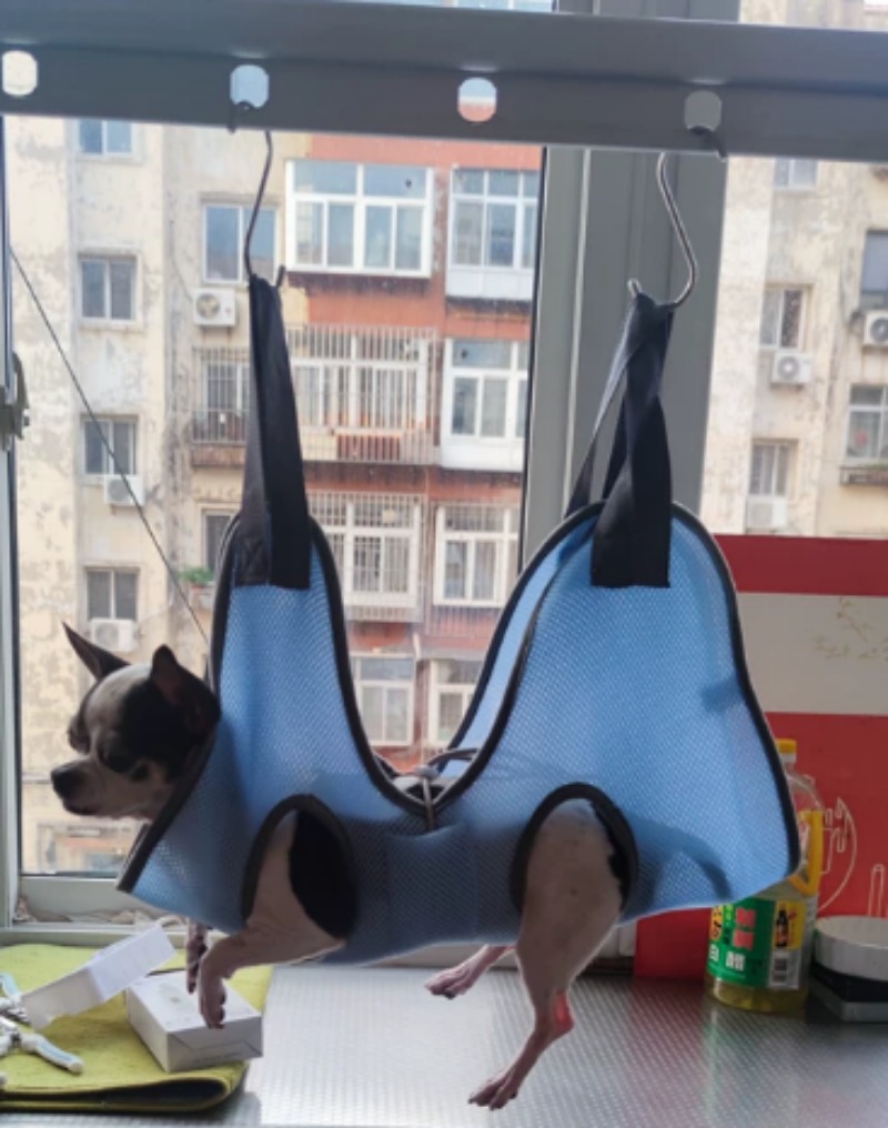 Hamak do pielęgnacji zwierząt, – Pet Grooming Hammock Sling Restraint recenzja i cena