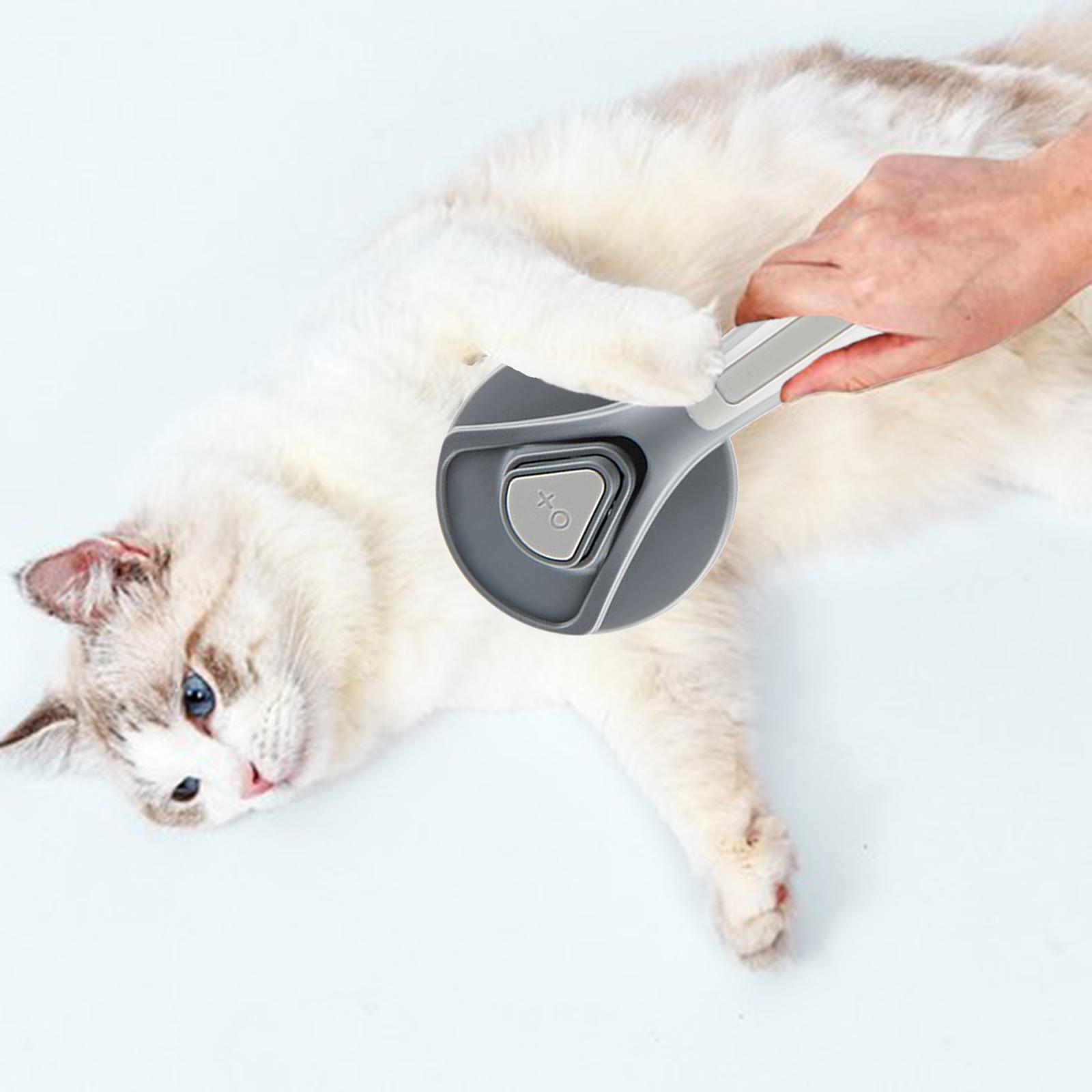 Szczotka do pielęgnacji kotów  – Slicker Brush Self Cleaning Pet Grooming recenzja i cena